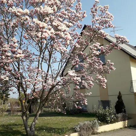 8 Personnes - Porte Du Ried Holiday home