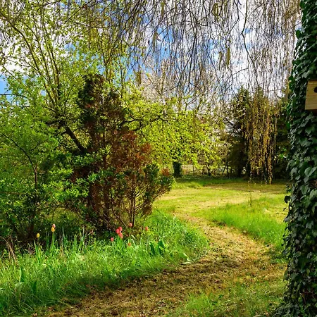 Ferienhaus 8 Personnes - Porte Du Ried Holtzwihr