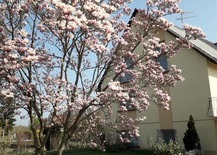 8 Personnes - Porte Du Ried Σπίτι διακοπών